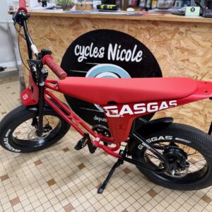 GASGAS MOTO 1
