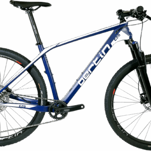 VTT C20 Carbon Cycles Bertin
