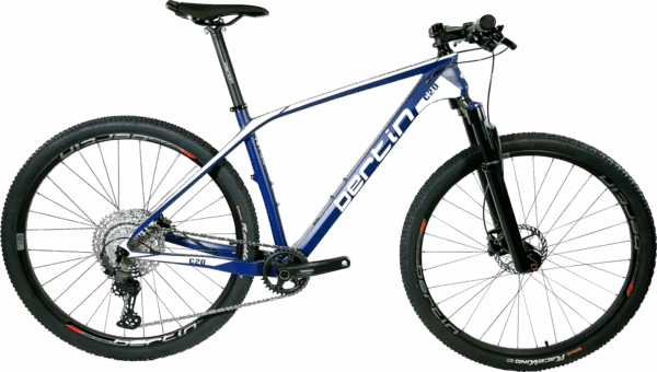 VTT C20 Carbon Cycles Bertin