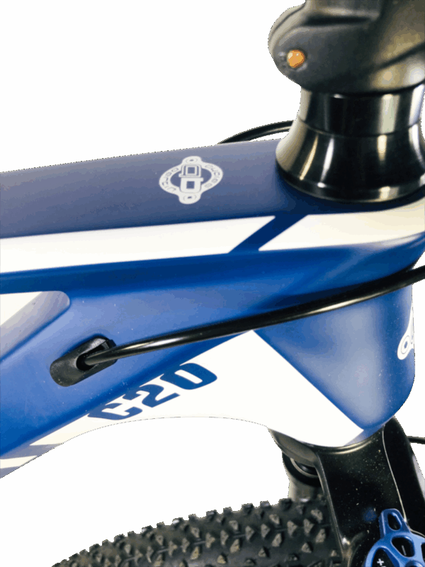 VTT C20 Carbon Cycles Bertin – Image 2
